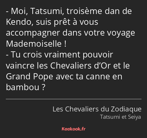 Moi, Tatsumi, troisème dan de Kendo, suis prêt à vous accompagner dans votre voyage Mademoiselle…