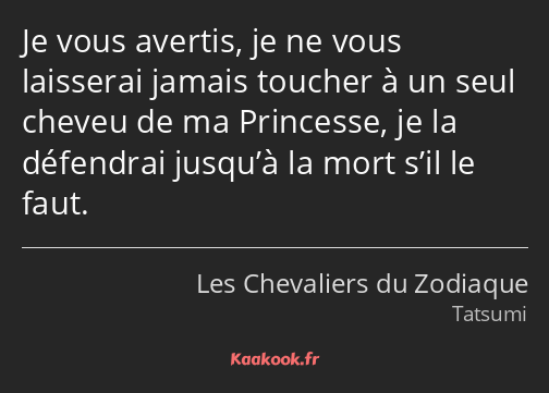 Je vous avertis, je ne vous laisserai jamais toucher à un seul cheveu de ma Princesse, je la…