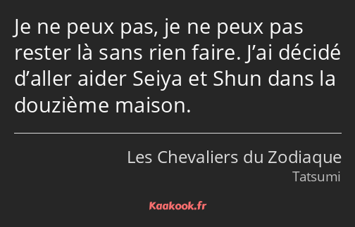 Je ne peux pas, je ne peux pas rester là sans rien faire. J’ai décidé d’aller aider Seiya et Shun…