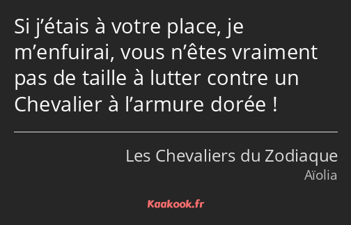 Si j’étais à votre place, je m’enfuirai, vous n’êtes vraiment pas de taille à lutter contre un…