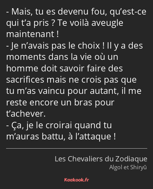 Mais, tu es devenu fou, qu’est-ce qui t’a pris ? Te voilà aveugle maintenant ! Je n’avais pas le…