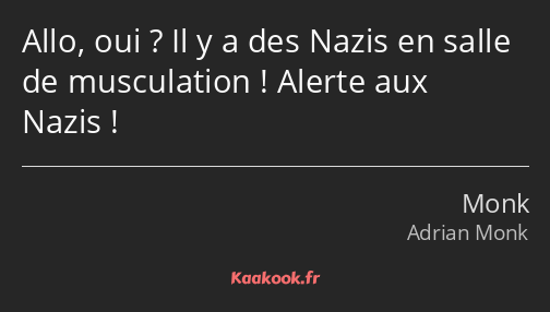 Allo, oui ? Il y a des Nazis en salle de musculation ! Alerte aux Nazis !