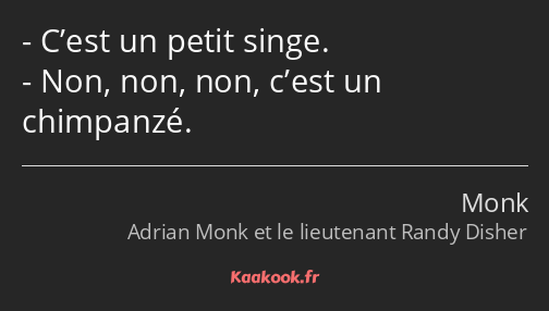 C’est un petit singe. Non, non, non, c’est un chimpanzé.