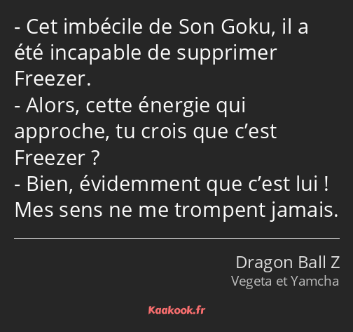 Cet imbécile de Son Goku, il a été incapable de supprimer Freezer. Alors, cette énergie qui…