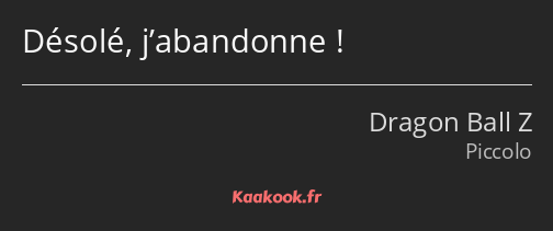 Désolé, j’abandonne !