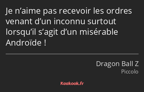 Je n’aime pas recevoir les ordres venant d’un inconnu surtout lorsqu’il s’agit d’un misérable…