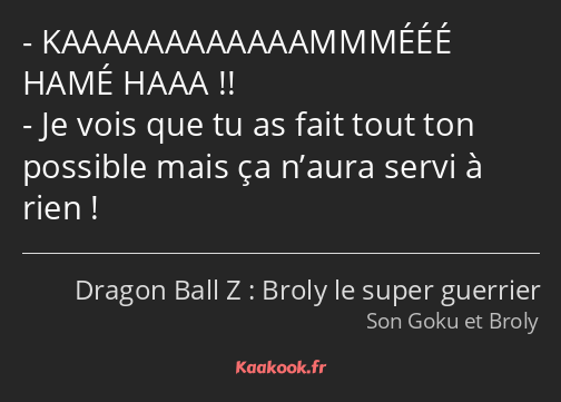 KAAAAAAAAAAAAMMMÉÉÉ HAMÉ HAAA !! Je vois que tu as fait tout ton possible mais ça n’aura servi à…