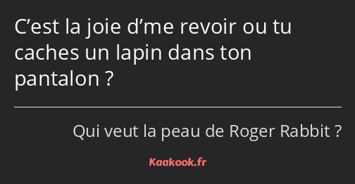 C’est la joie d’me revoir ou tu caches un lapin dans ton pantalon ?