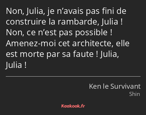 Non, Julia, je n’avais pas fini de construire la rambarde, Julia ! Non, ce n’est pas possible…