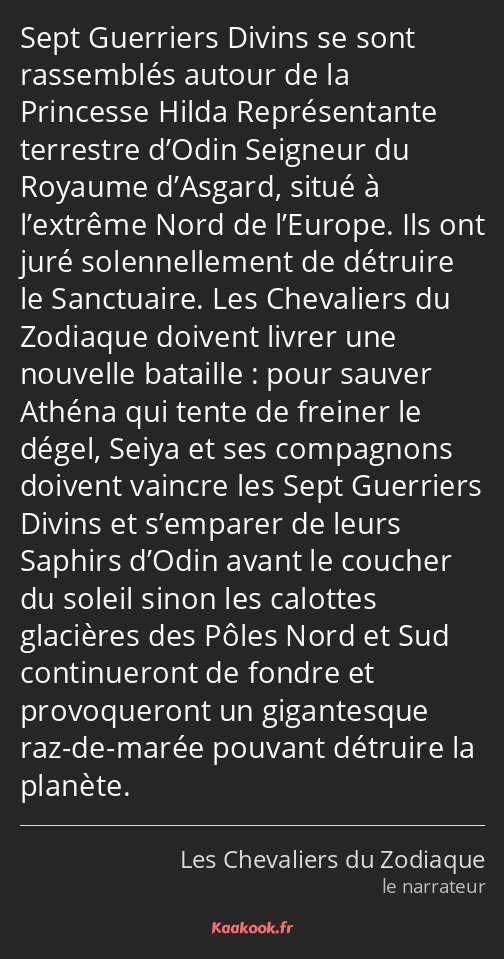 Sept Guerriers Divins se sont rassemblés autour de la Princesse Hilda Représentante terrestre…