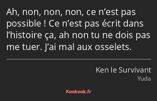 Ah, non, non, non, ce n’est pas possible ! Ce n’est pas écrit dans l’histoire ça, ah non tu ne dois…