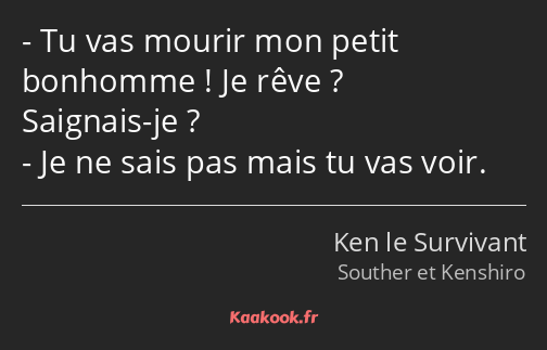 Tu vas mourir mon petit bonhomme ! Je rêve ? Saignais-je ? Je ne sais pas mais tu vas voir.