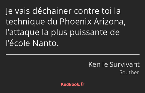 Je vais déchainer contre toi la technique du Phoenix Arizona, l’attaque la plus puissante de…