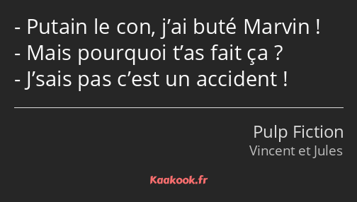 Putain le con, j’ai buté Marvin ! Mais pourquoi t’as fait ça ? J’sais pas c’est un accident !