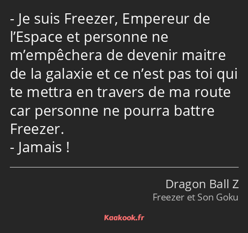 Je suis Freezer, Empereur de l’Espace et personne ne m’empêchera de devenir maitre de la galaxie et…