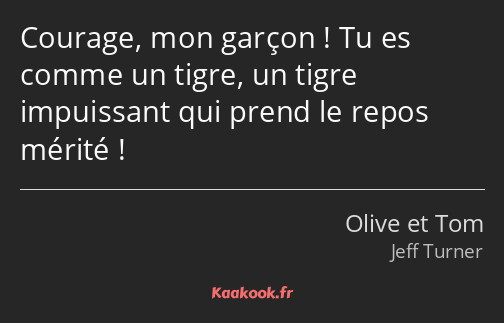 Courage, mon garçon ! Tu es comme un tigre, un tigre impuissant qui prend le repos mérité !