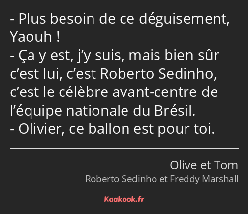 Plus besoin de ce déguisement, Yaouh ! Ça y est, j’y suis, mais bien sûr c’est lui, c’est Roberto…