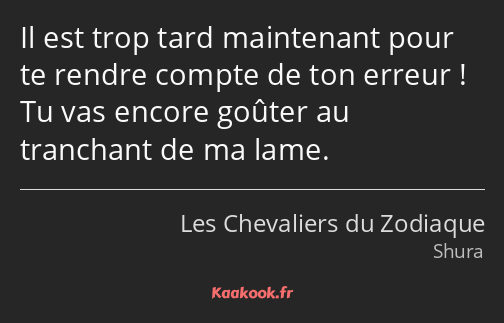 Il est trop tard maintenant pour te rendre compte de ton erreur ! Tu vas encore goûter au tranchant…