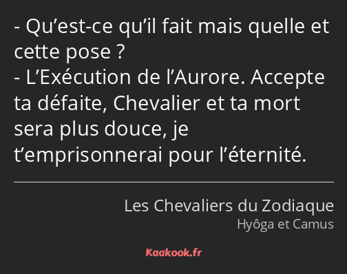 Qu’est-ce qu’il fait mais quelle et cette pose ? L’Exécution de l’Aurore. Accepte ta défaite…