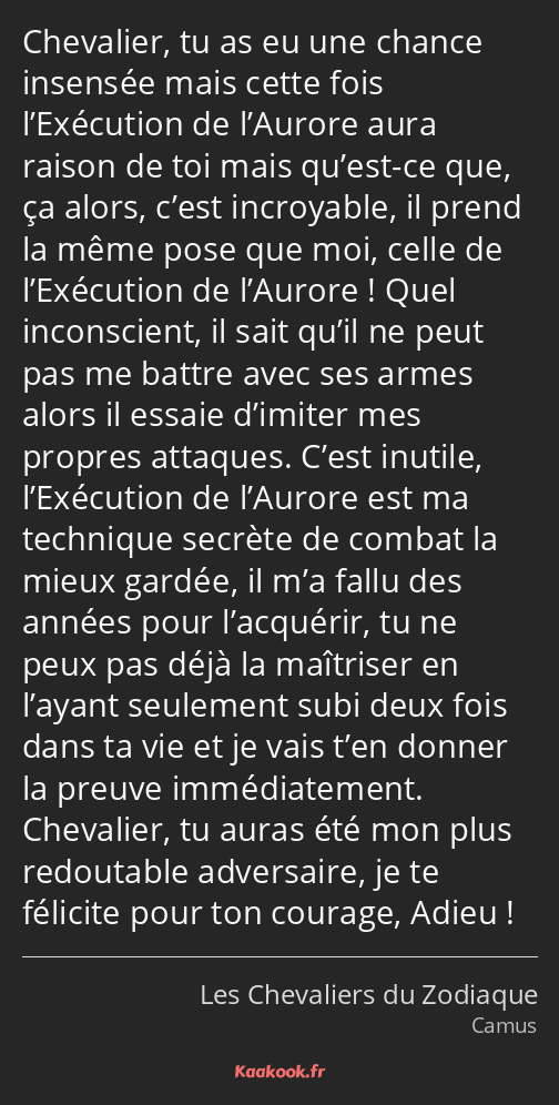 Chevalier, tu as eu une chance insensée mais cette fois l’Exécution de l’Aurore aura raison de toi…