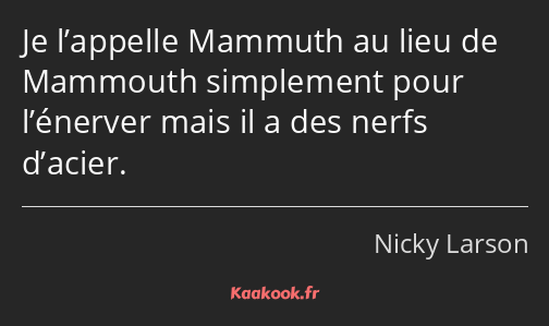 Je l’appelle Mammuth au lieu de Mammouth simplement pour l’énerver mais il a des nerfs d’acier.