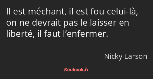 Il est méchant, il est fou celui-là, on ne devrait pas le laisser en liberté, il faut l’enfermer.