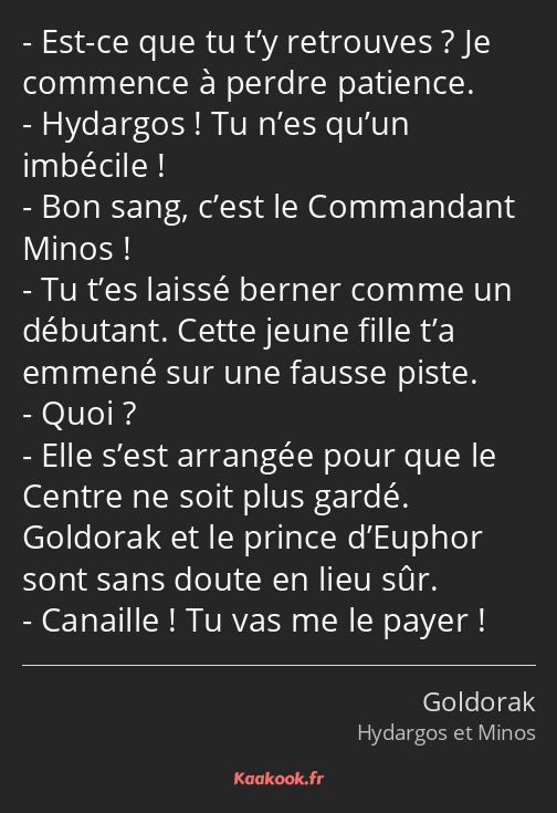 Est-ce que tu t’y retrouves ? Je commence à perdre patience. Hydargos ! Tu n’es qu’un imbécile…