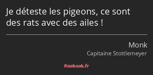 Je déteste les pigeons, ce sont des rats avec des ailes !