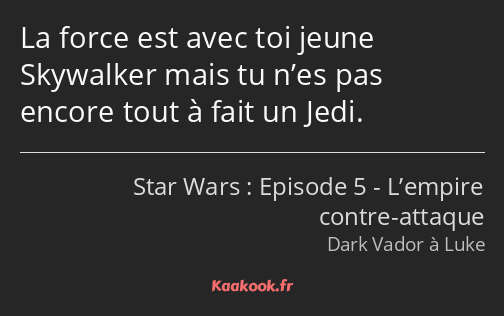 La force est avec toi jeune Skywalker mais tu n’es pas encore tout à fait un Jedi.