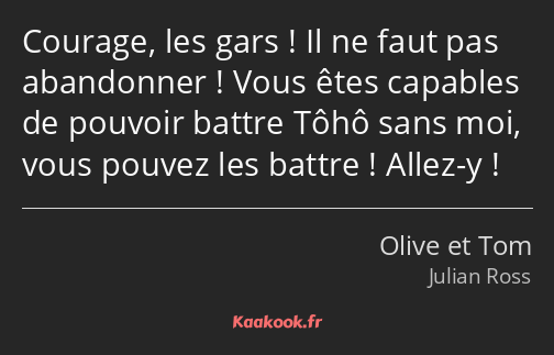 Courage, les gars ! Il ne faut pas abandonner ! Vous êtes capables de pouvoir battre Tôhô sans moi…