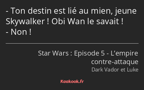 Ton destin est lié au mien, jeune Skywalker ! Obi Wan le savait ! Non !