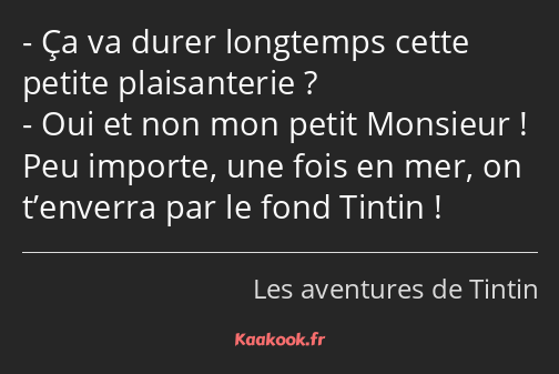 Ça va durer longtemps cette petite plaisanterie ? Oui et non mon petit Monsieur ! Peu importe, une…