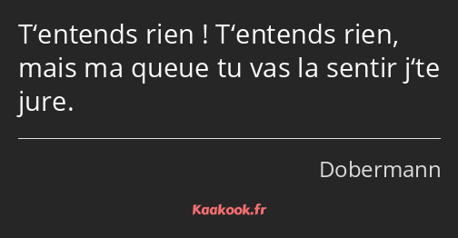 T‘entends rien ! T‘entends rien, mais ma queue tu vas la sentir j‘te jure.