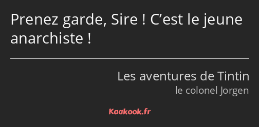 Prenez garde, Sire ! C’est le jeune anarchiste !