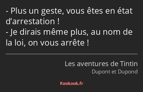 Plus un geste, vous êtes en état d’arrestation ! Je dirais même plus, au nom de la loi, on vous…