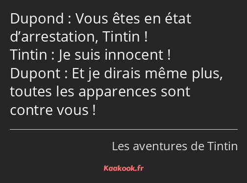 Vous êtes en état d’arrestation, Tintin ! Je suis innocent ! Et je dirais même plus, toutes les…