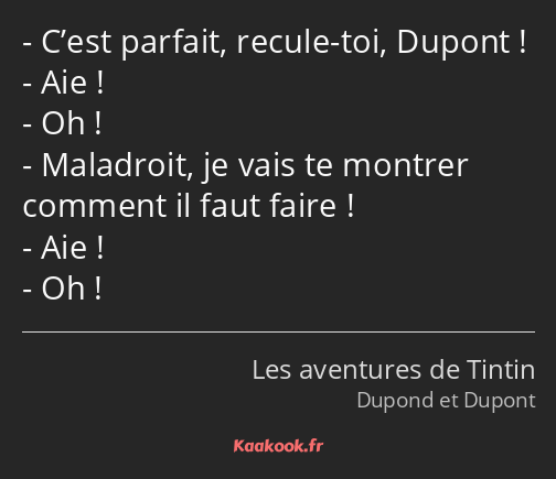 C’est parfait, recule-toi, Dupont ! Aie ! Oh ! Maladroit, je vais te montrer comment il faut faire…