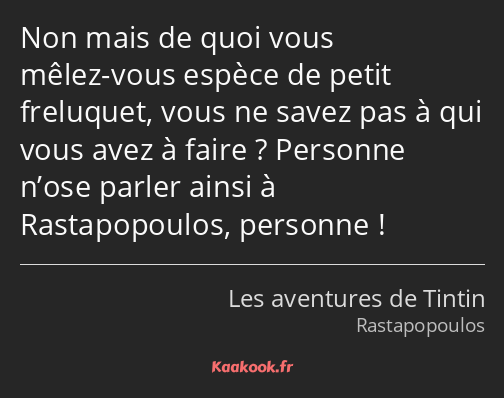 Non mais de quoi vous mêlez-vous espèce de petit freluquet, vous ne savez pas à qui vous avez à…