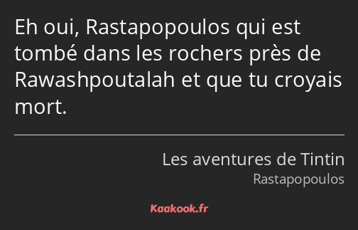 Eh oui, Rastapopoulos qui est tombé dans les rochers près de Rawashpoutalah et que tu croyais mort.