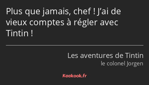 Plus que jamais, chef ! J’ai de vieux comptes à régler avec Tintin !