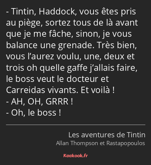 Tintin, Haddock, vous êtes pris au piège, sortez tous de là avant que je me fâche, sinon, je vous…