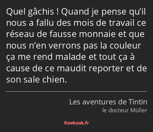 Quel gâchis ! Quand je pense qu’il nous a fallu des mois de travail ce réseau de fausse monnaie et…