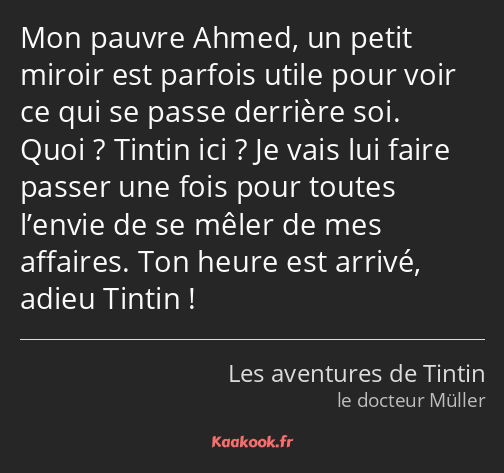 Mon pauvre Ahmed, un petit miroir est parfois utile pour voir ce qui se passe derrière soi. Quoi…