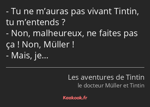 Tu ne m’auras pas vivant Tintin, tu m’entends ? Non, malheureux, ne faites pas ça ! Non, Müller…