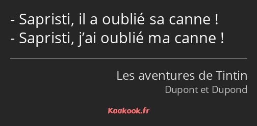 Sapristi, il a oublié sa canne ! Sapristi, j’ai oublié ma canne !