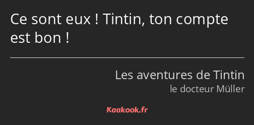 Ce sont eux ! Tintin, ton compte est bon !