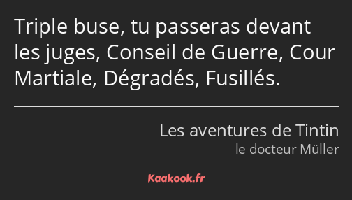 Triple buse, tu passeras devant les juges, Conseil de Guerre, Cour Martiale, Dégradés, Fusillés.