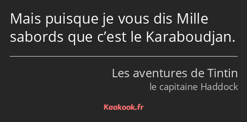 Mais puisque je vous dis Mille sabords que c’est le Karaboudjan.