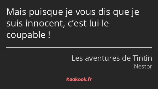 Mais puisque je vous dis que je suis innocent, c’est lui le coupable !