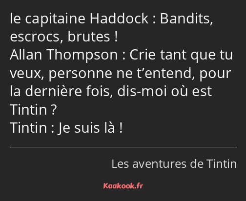 Bandits, escrocs, brutes ! Crie tant que tu veux, personne ne t’entend, pour la dernière fois, dis…